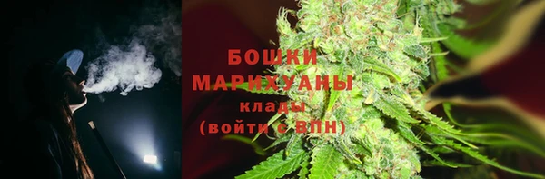 дмт Арсеньев