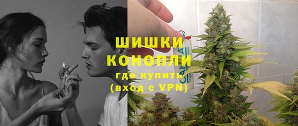 дмт Арсеньев
